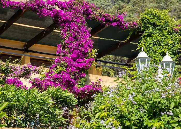 Helios Aparthotel Cargèse